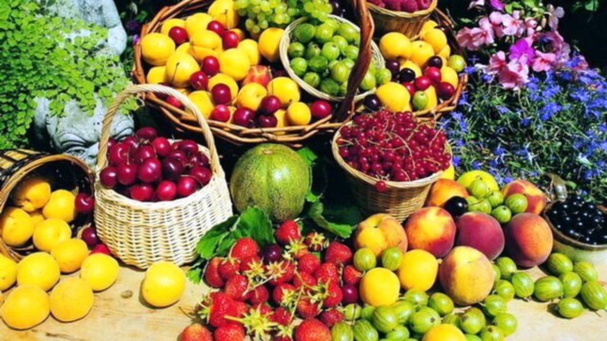 باغی