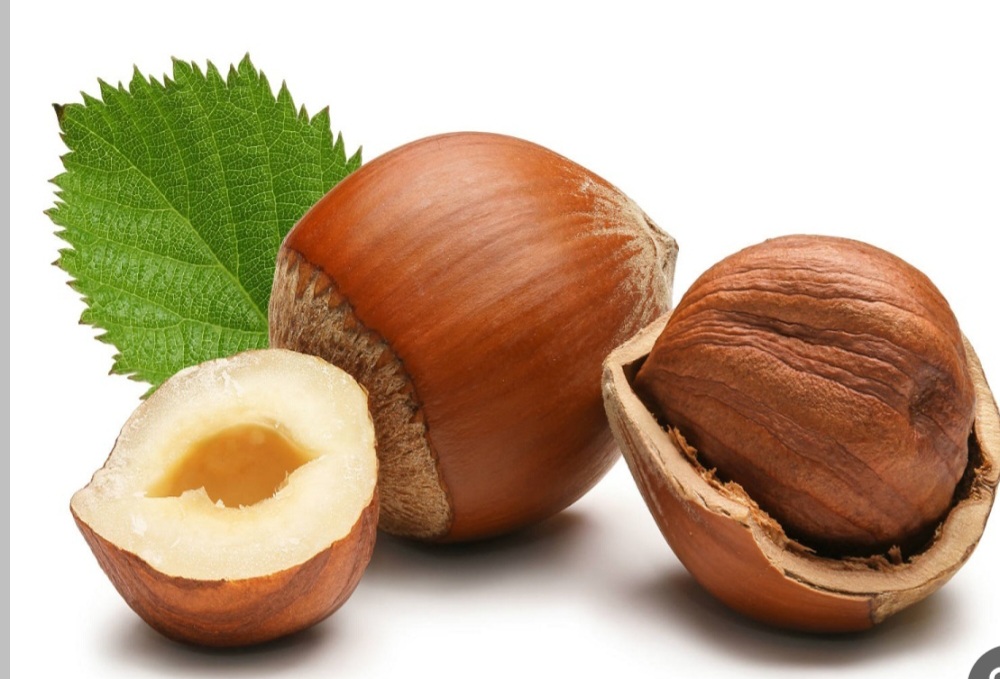 فندق