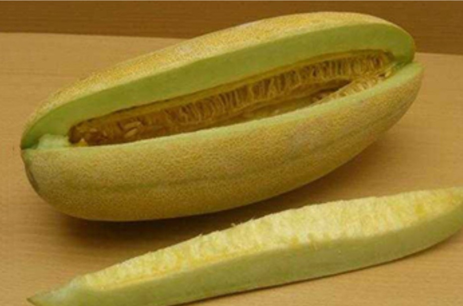 خربزه