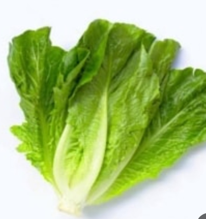 کاهو
