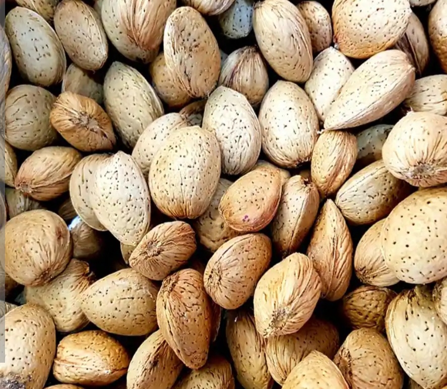 بادام شکوفه