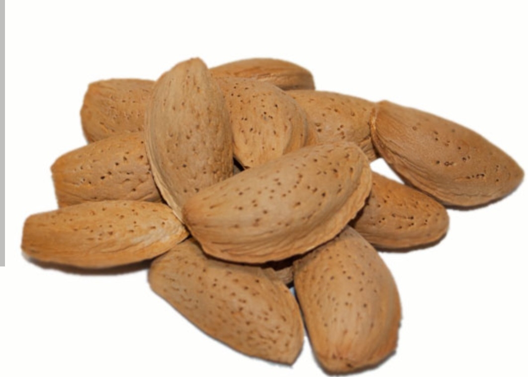 بادام مامایی