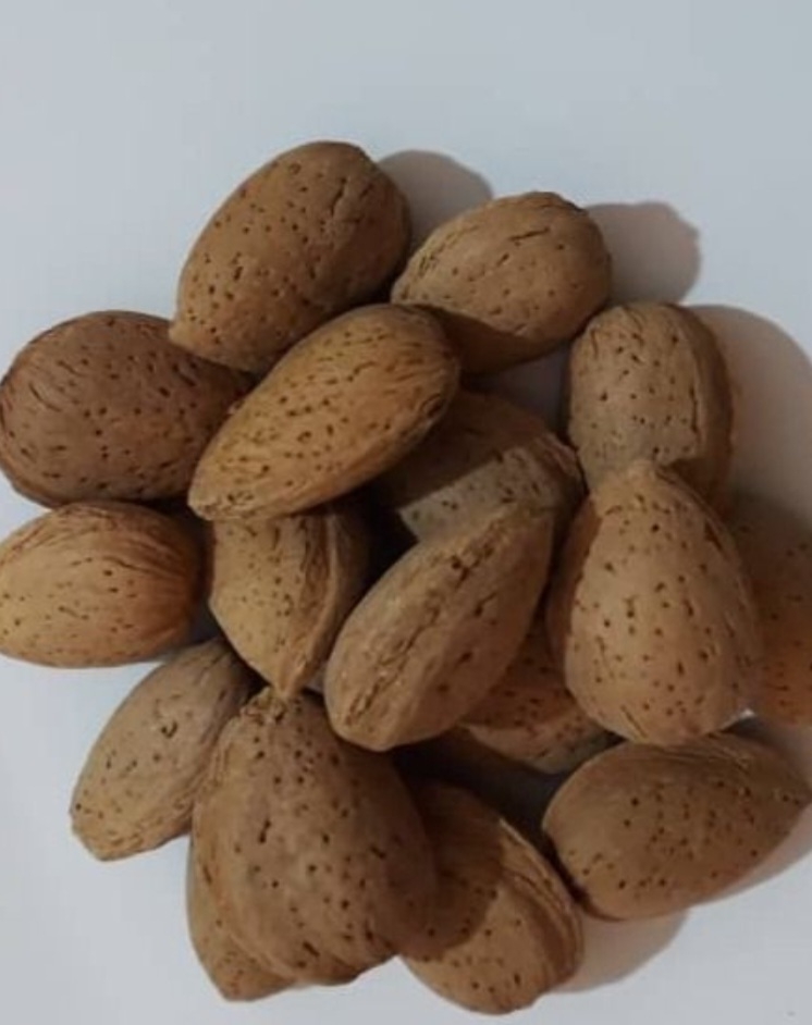 بادام تونو