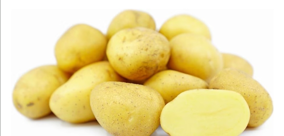 سیب زمینی ساتینا