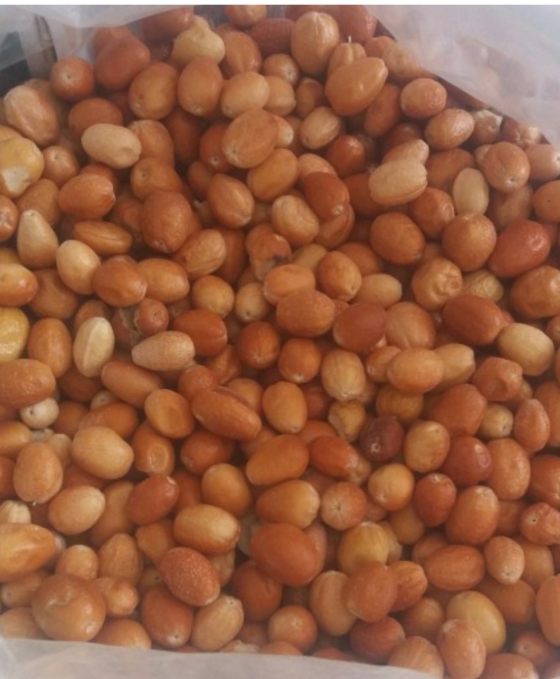 سنجد نقلی