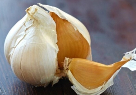 سیر فیلی