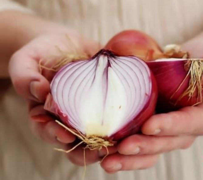 پیاز قرمز بهبان