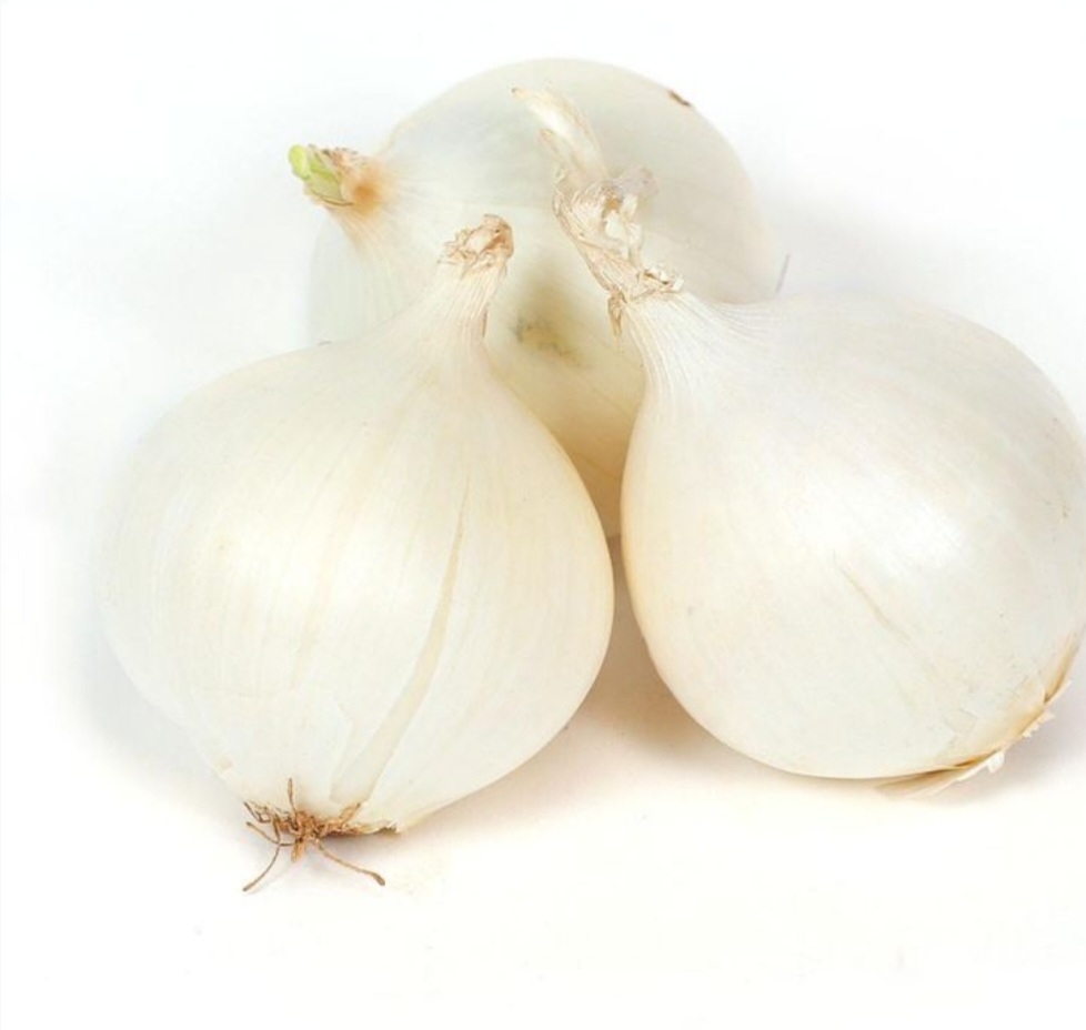 پیاز سفید