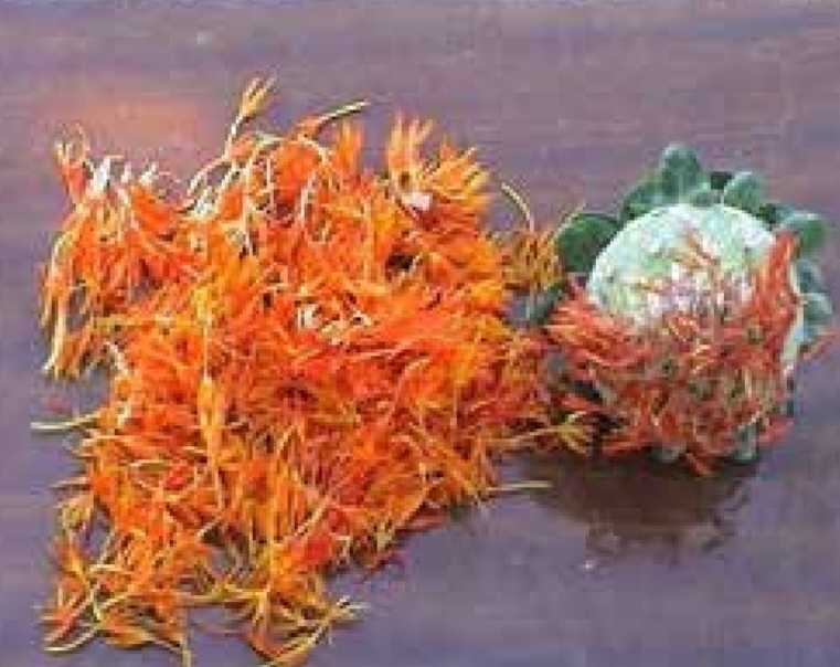 گلرنگ گلدشت