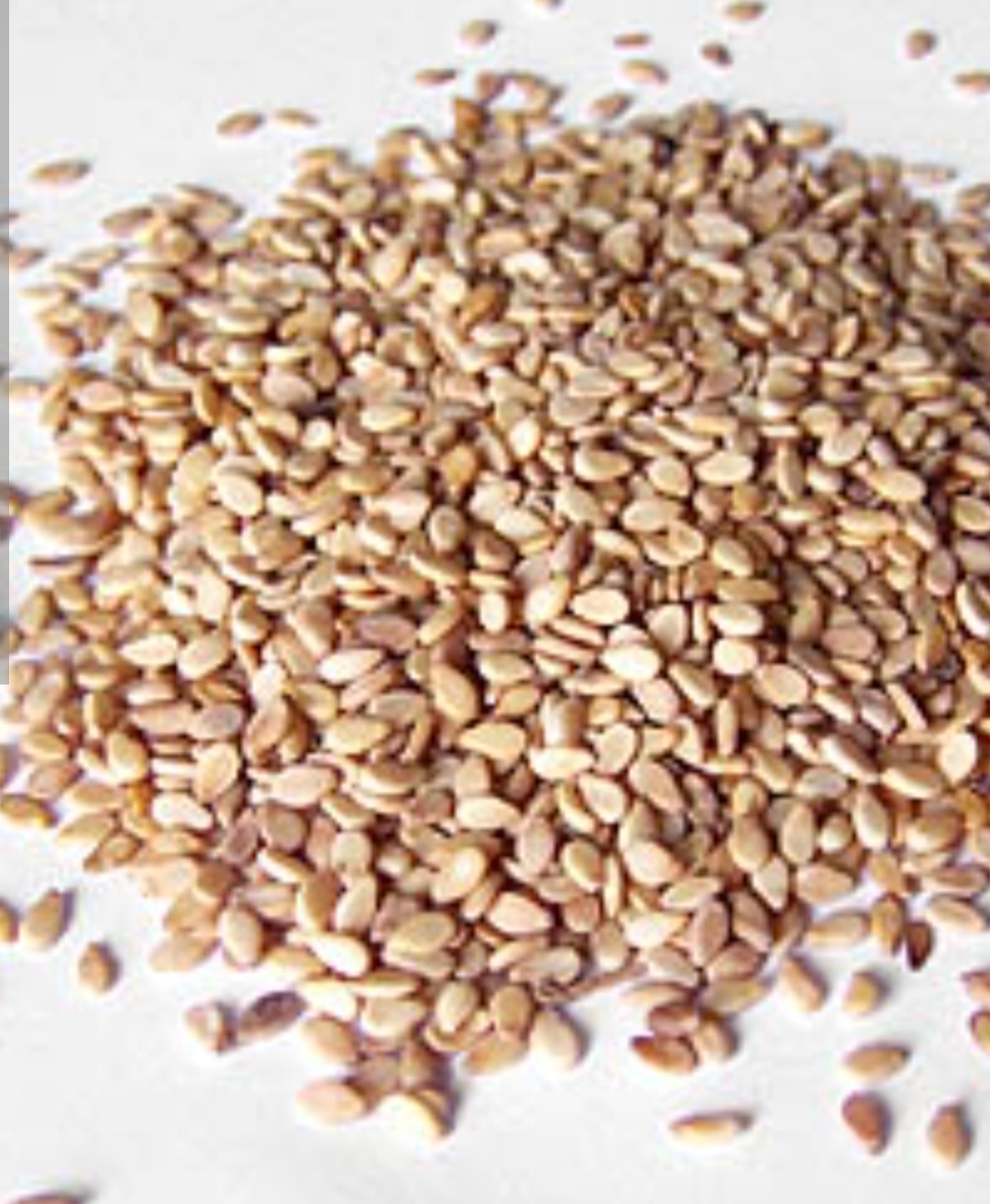 کنجد اولتان