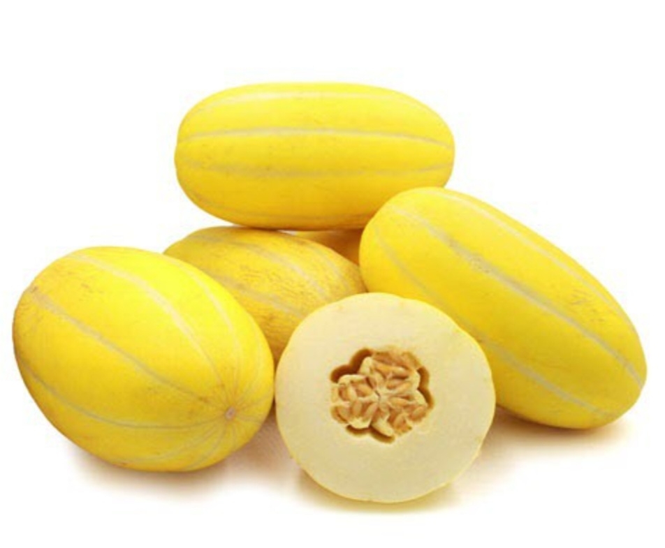 خربزه کاناری