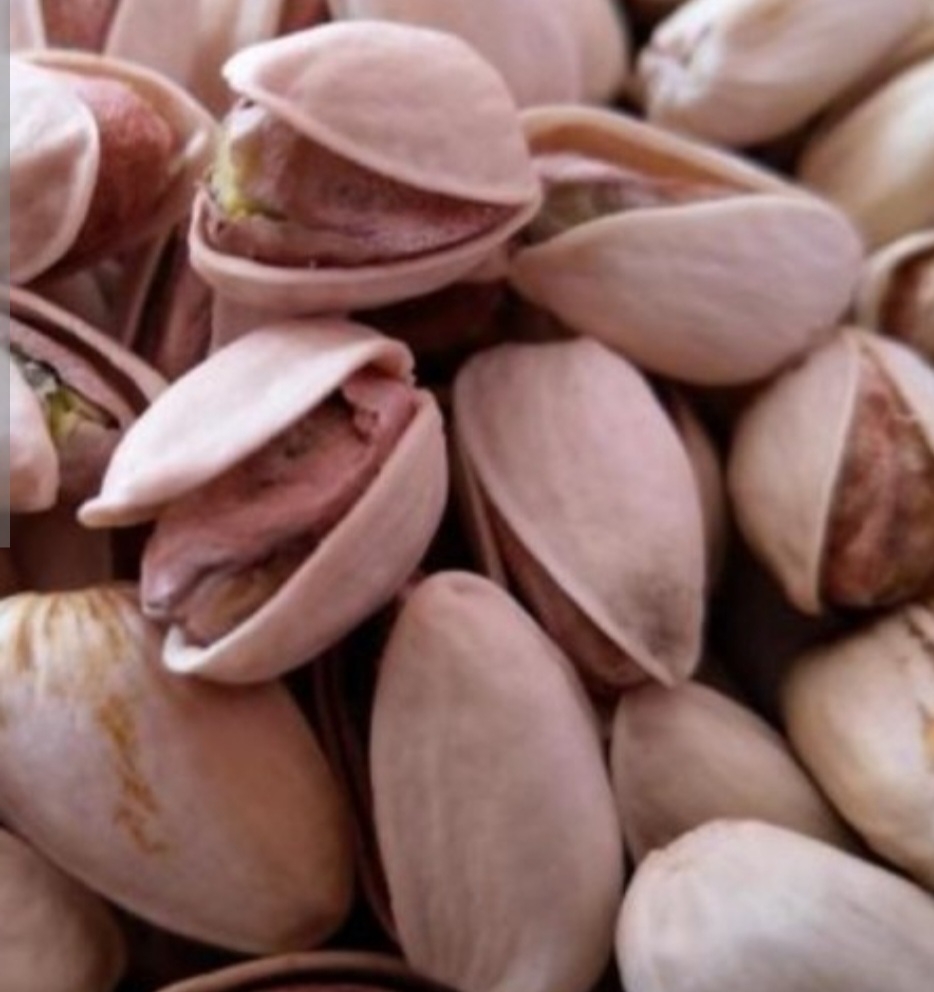 پسته شاهپسند