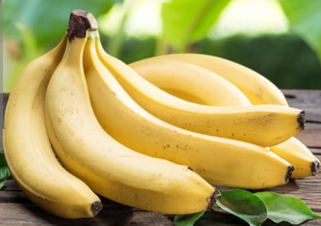 موز راف دوارف کاندویش