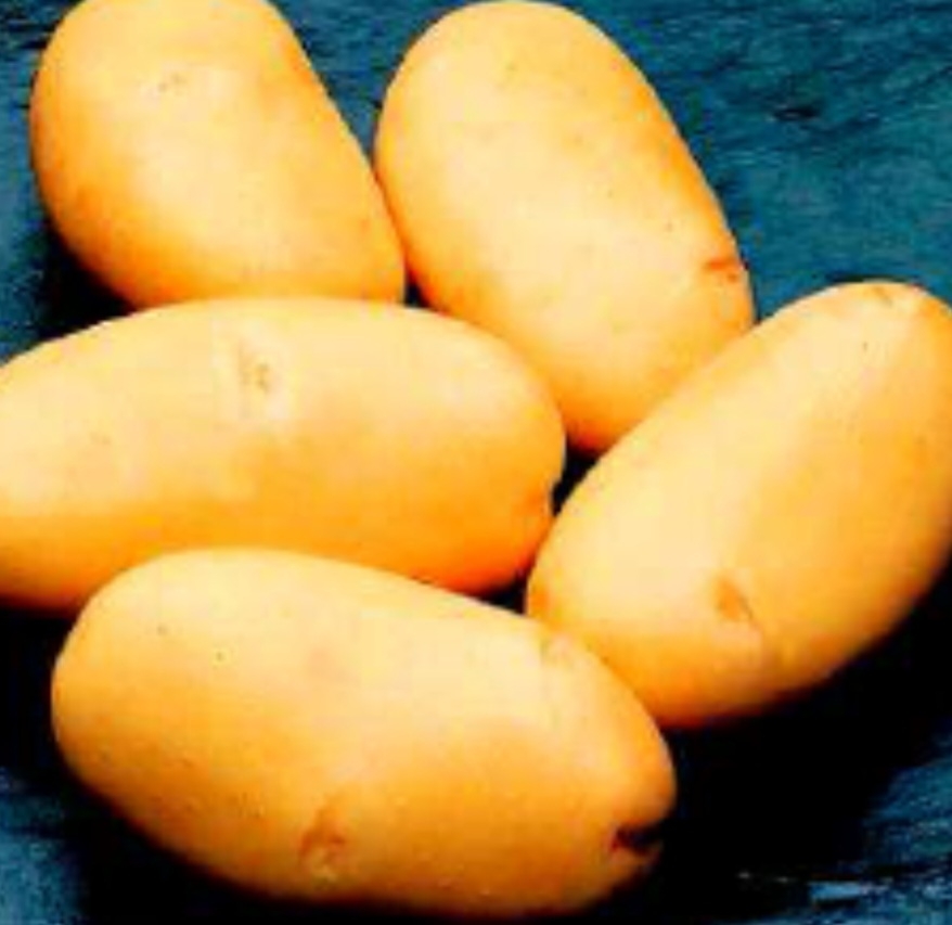 سیب زمینی گرانولا