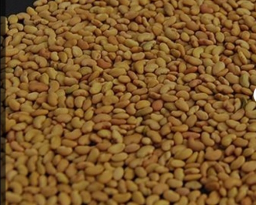 یونجه سیمرجنسک